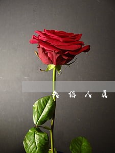 失信人员 信用卡逾期 失信人员 信用卡逾期
